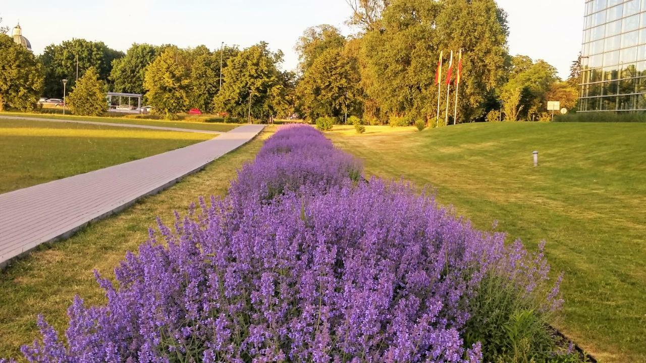 Wilanow Apartment وارسو المظهر الخارجي الصورة